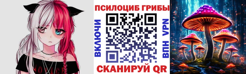 Галлюциногенные грибы Cubensis  Наволоки 